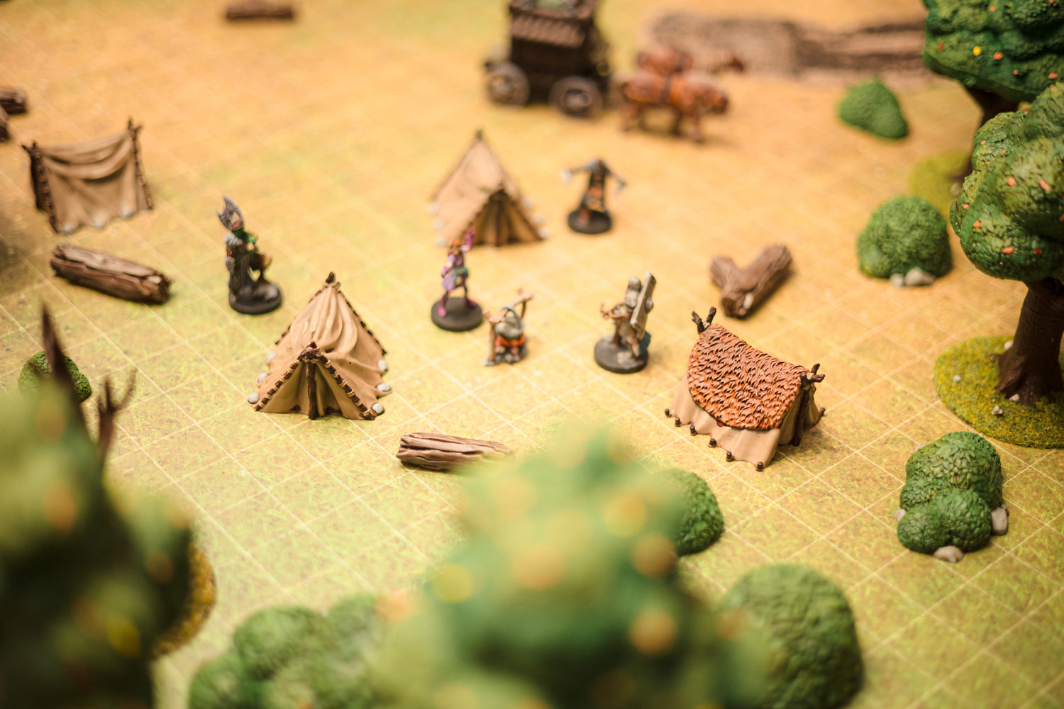 Campsite Scatter