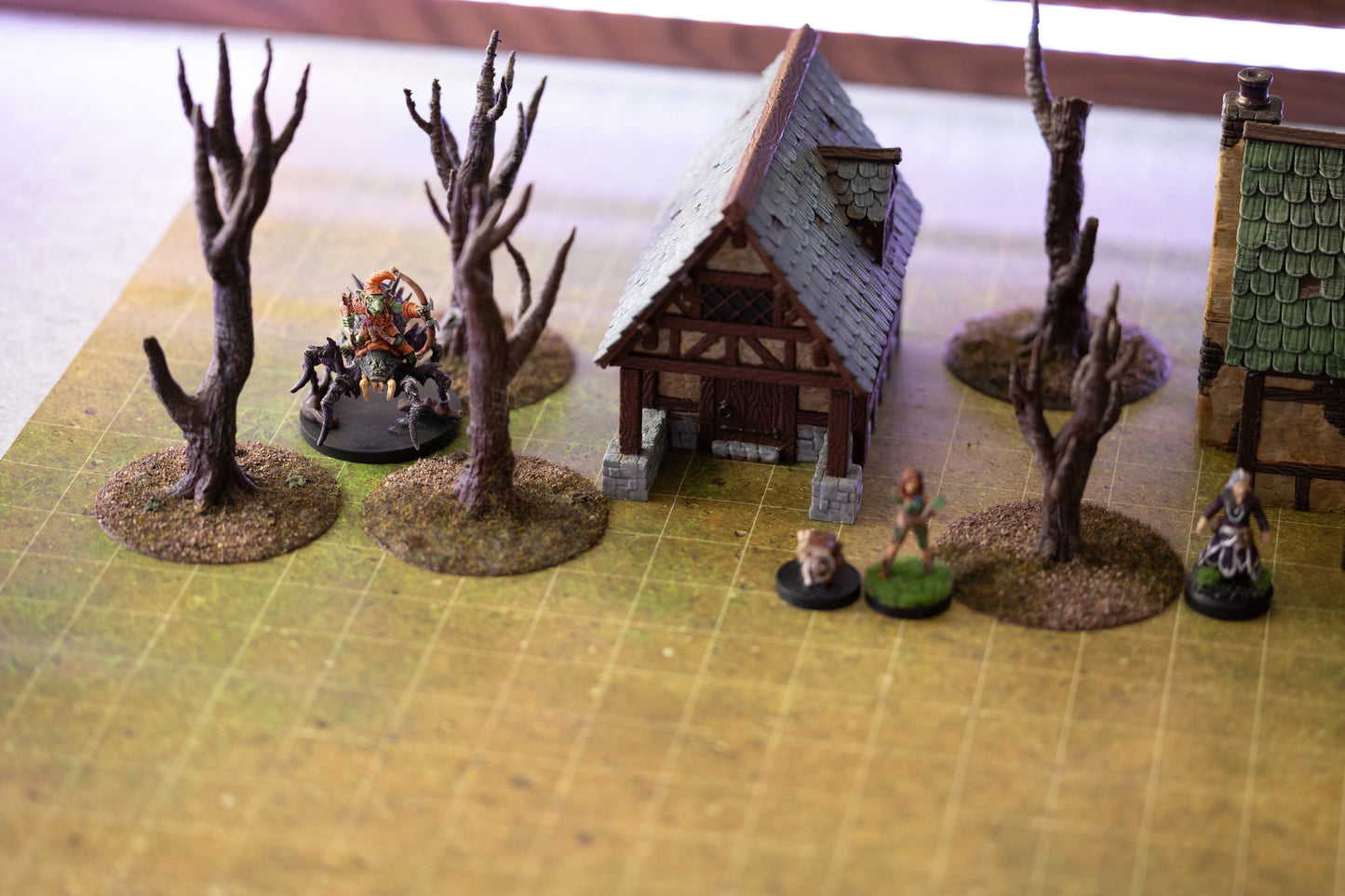 Dead Trees (5-Pack)